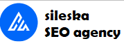 SILESKA SEO Agency Logo